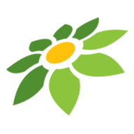 APK FF MOD